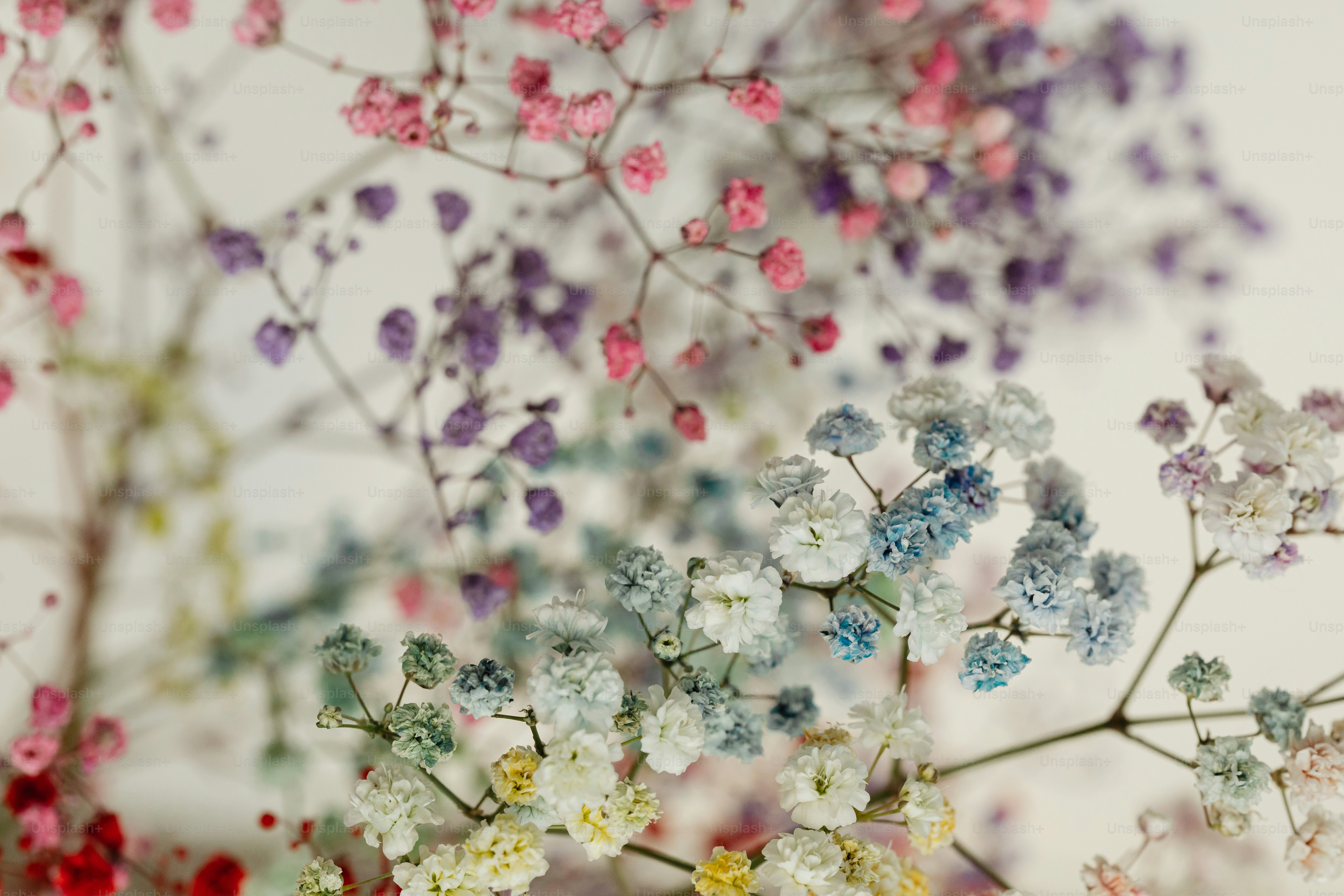 ein Blumenstrauß, der in einer Vase ist