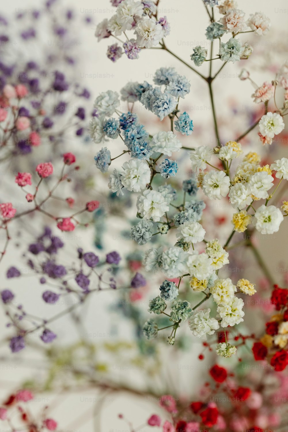 a bunch of flowers that are in a vase