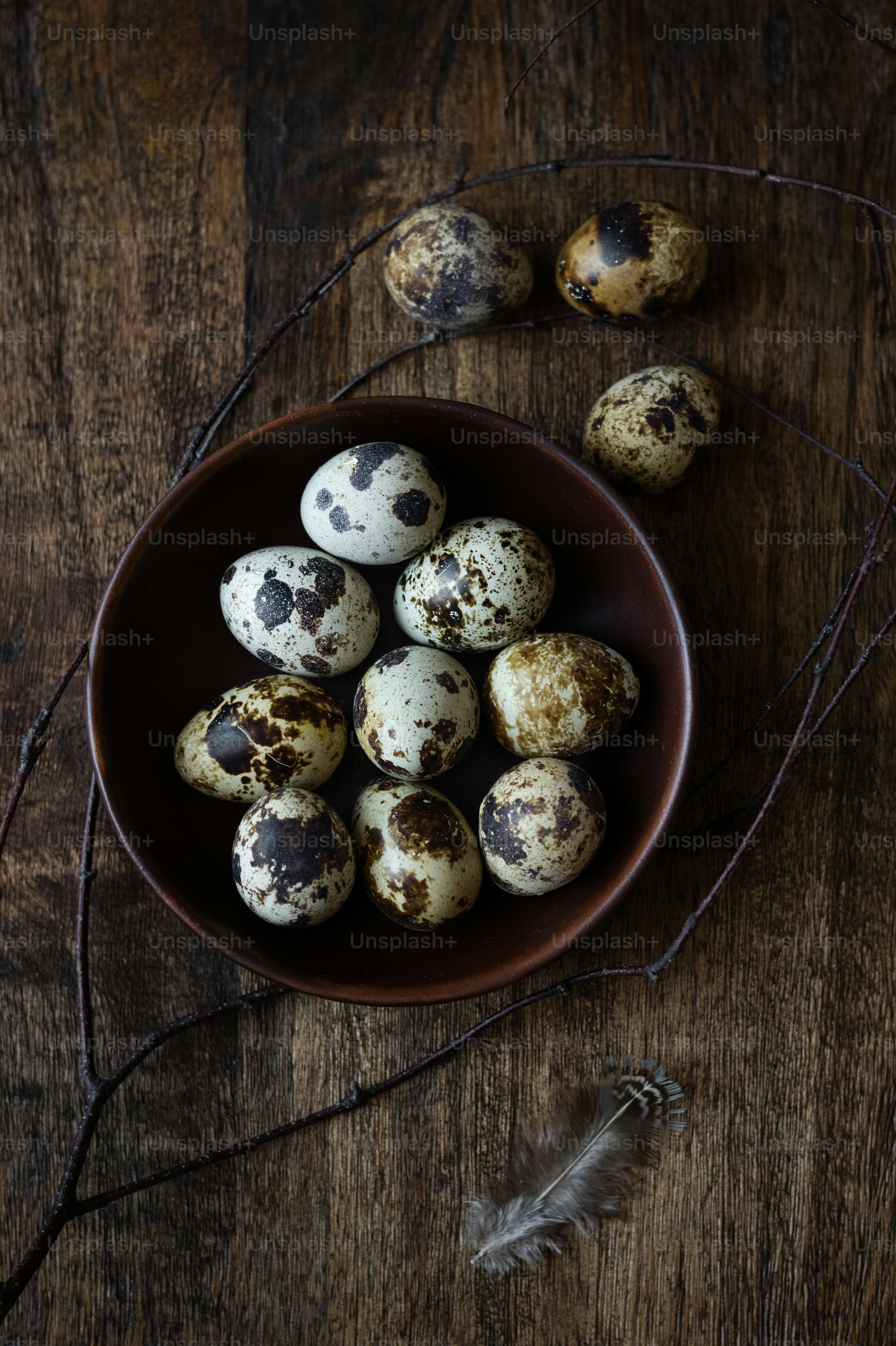 Quail eggs