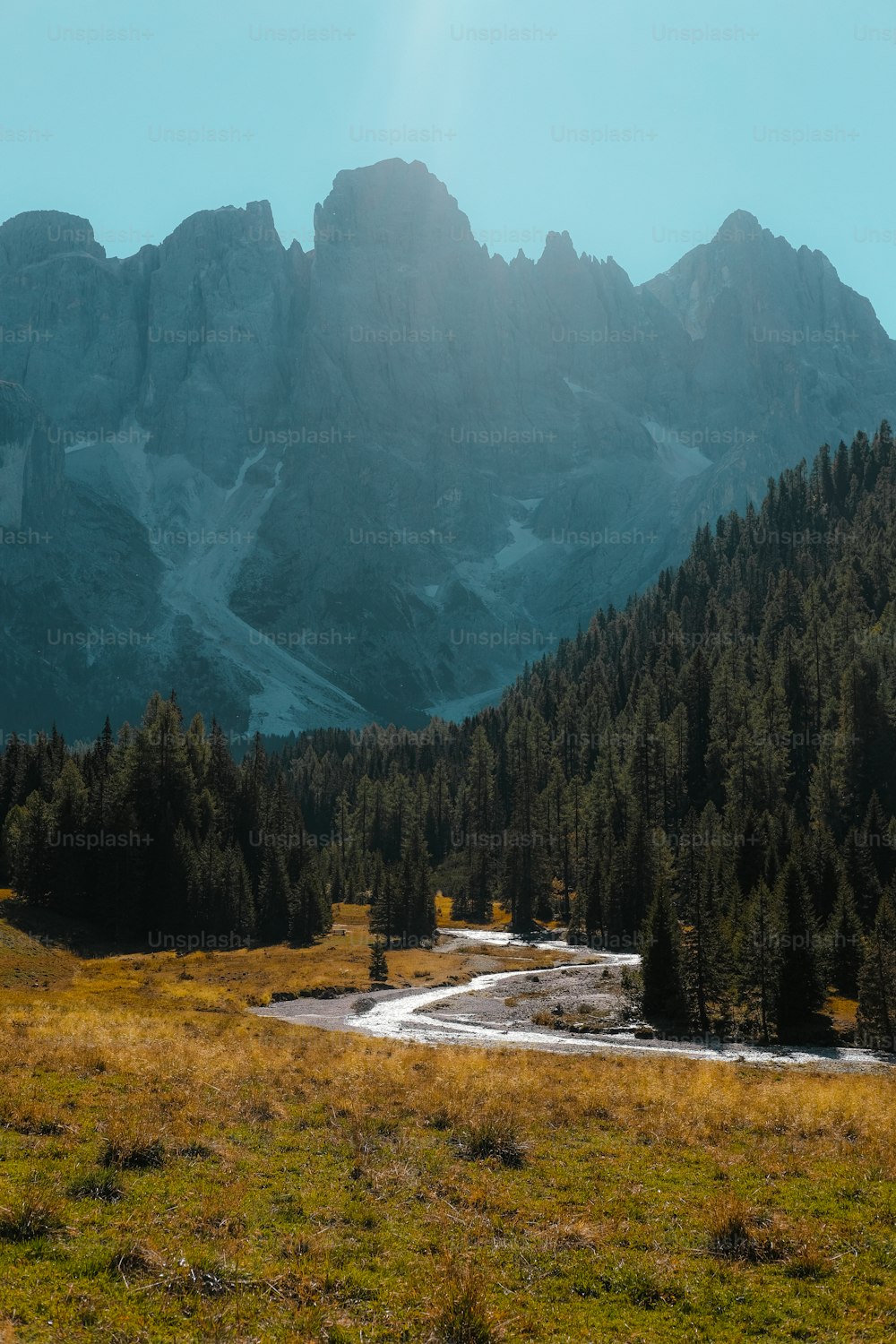 a grassy field with a mountain in the background