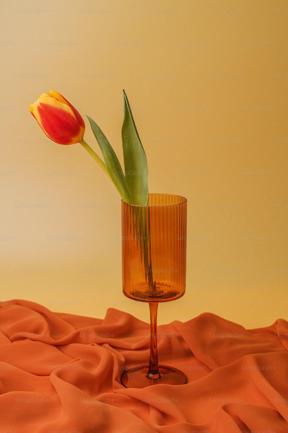 Une seule tulipe dans un vase en verre sur un lit