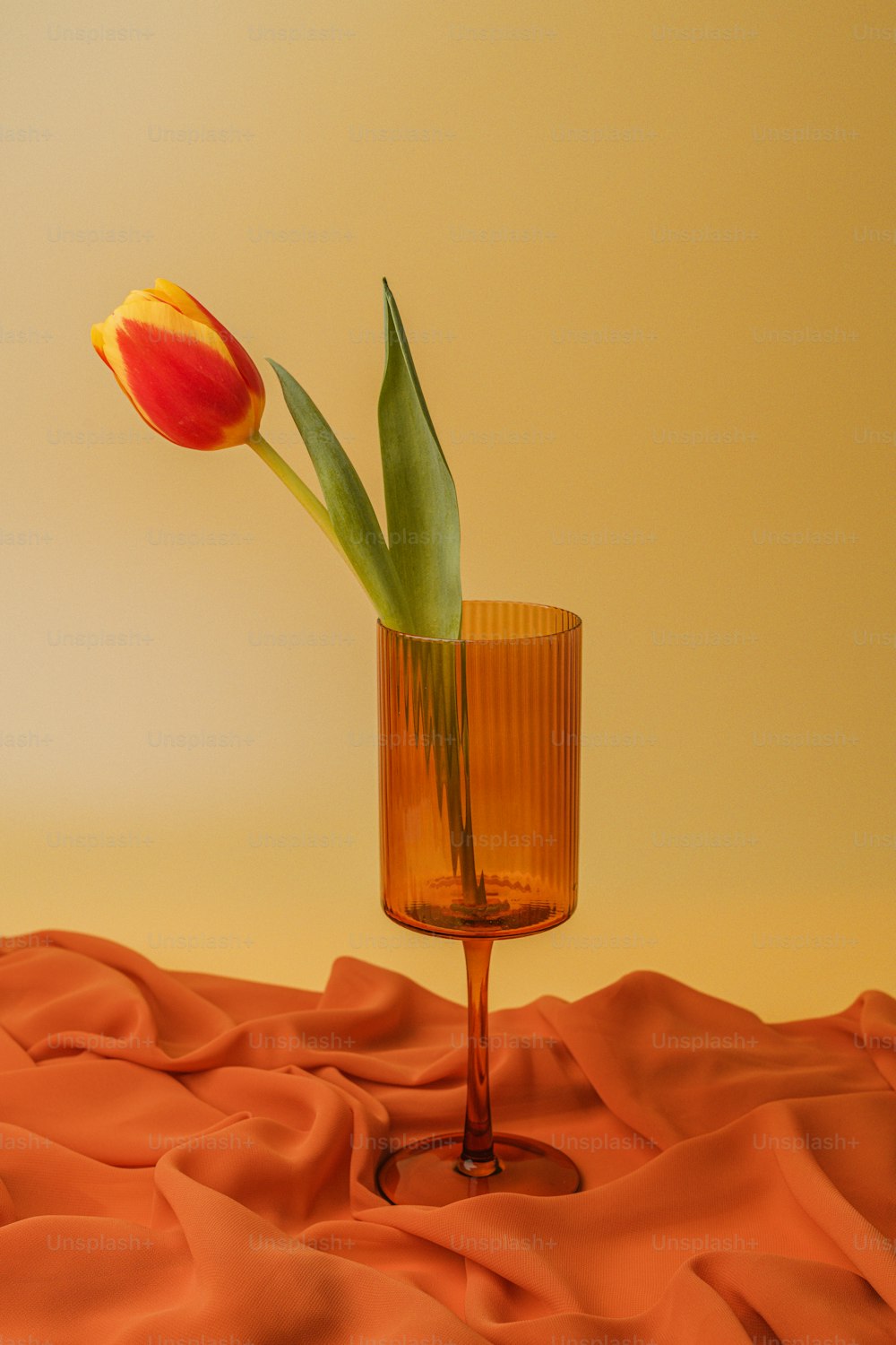 a single tulip in a glass vase on a bed