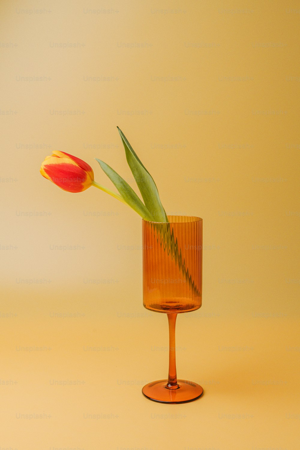 Un singolo tulipano in un vaso di vetro su uno sfondo giallo