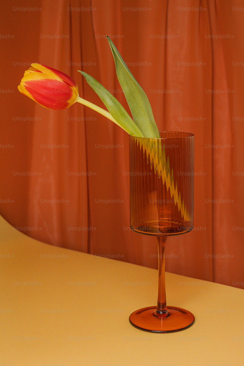 Una sola flor en un jarrón de vidrio sobre una mesa