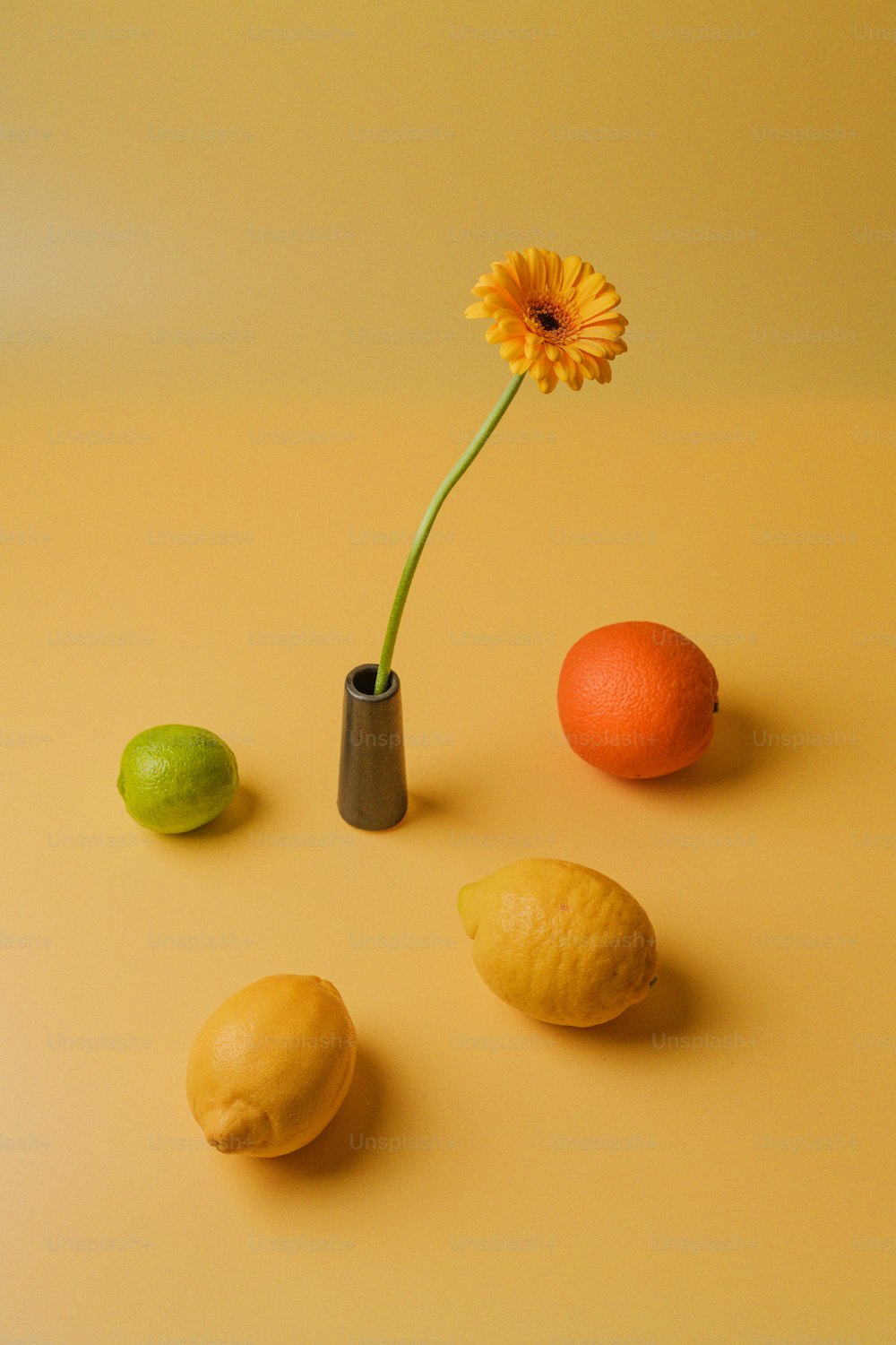 eine Blume in einer Vase neben Zitronen und einer Orange