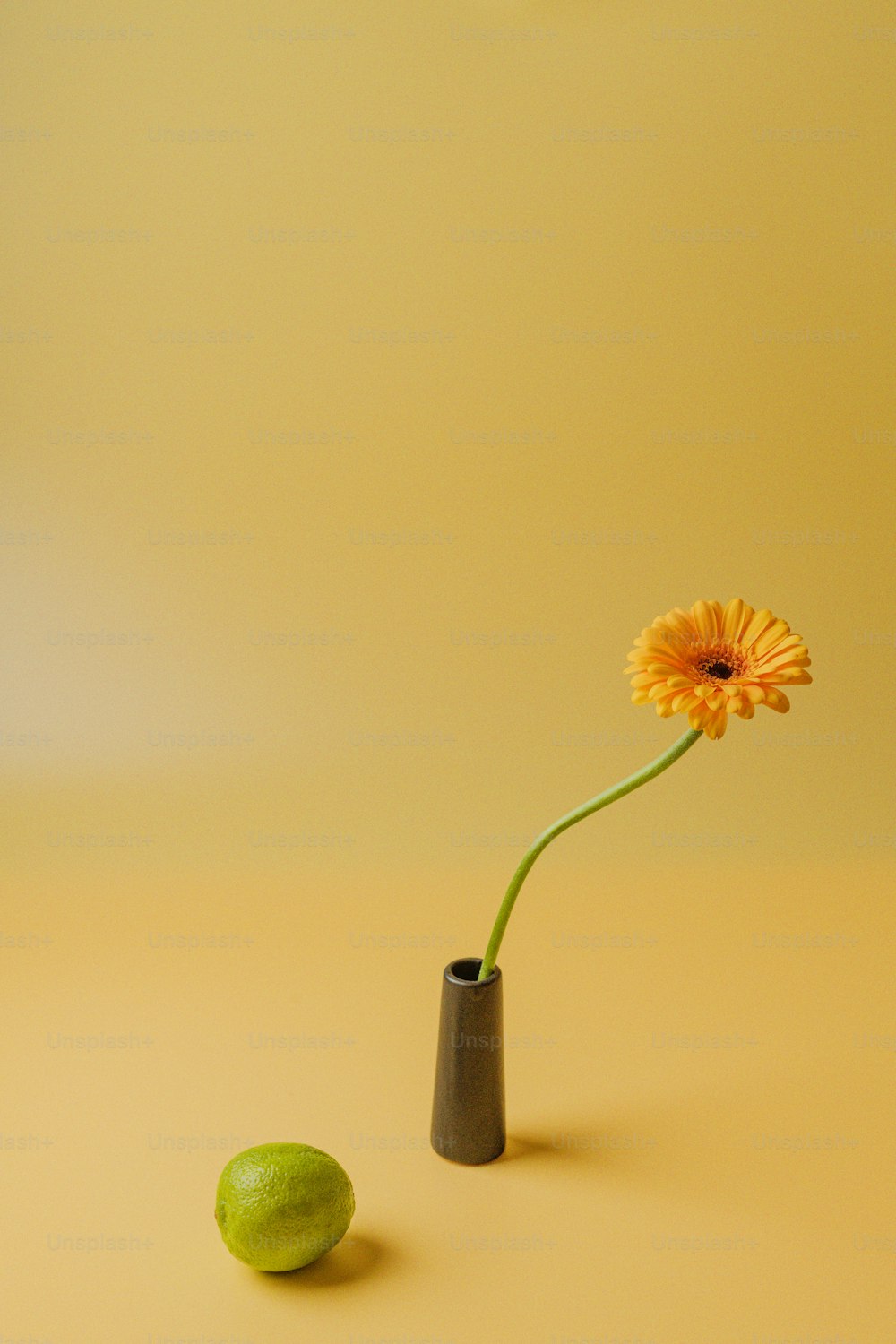 une fleur jaune dans un vase noir à côté d’un citron vert