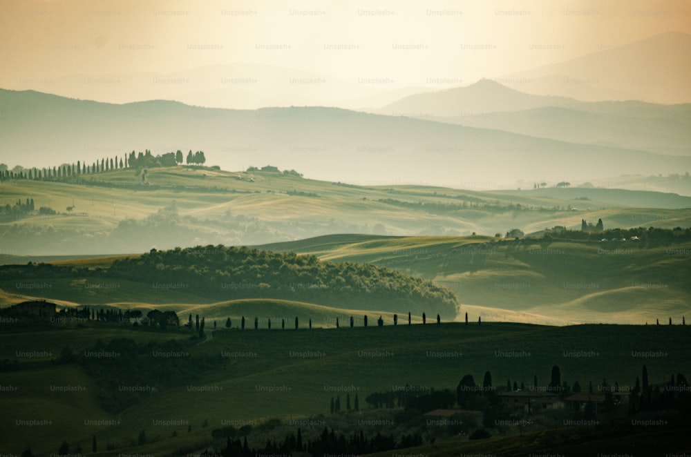 a view of rolling hills with trees in the foreground