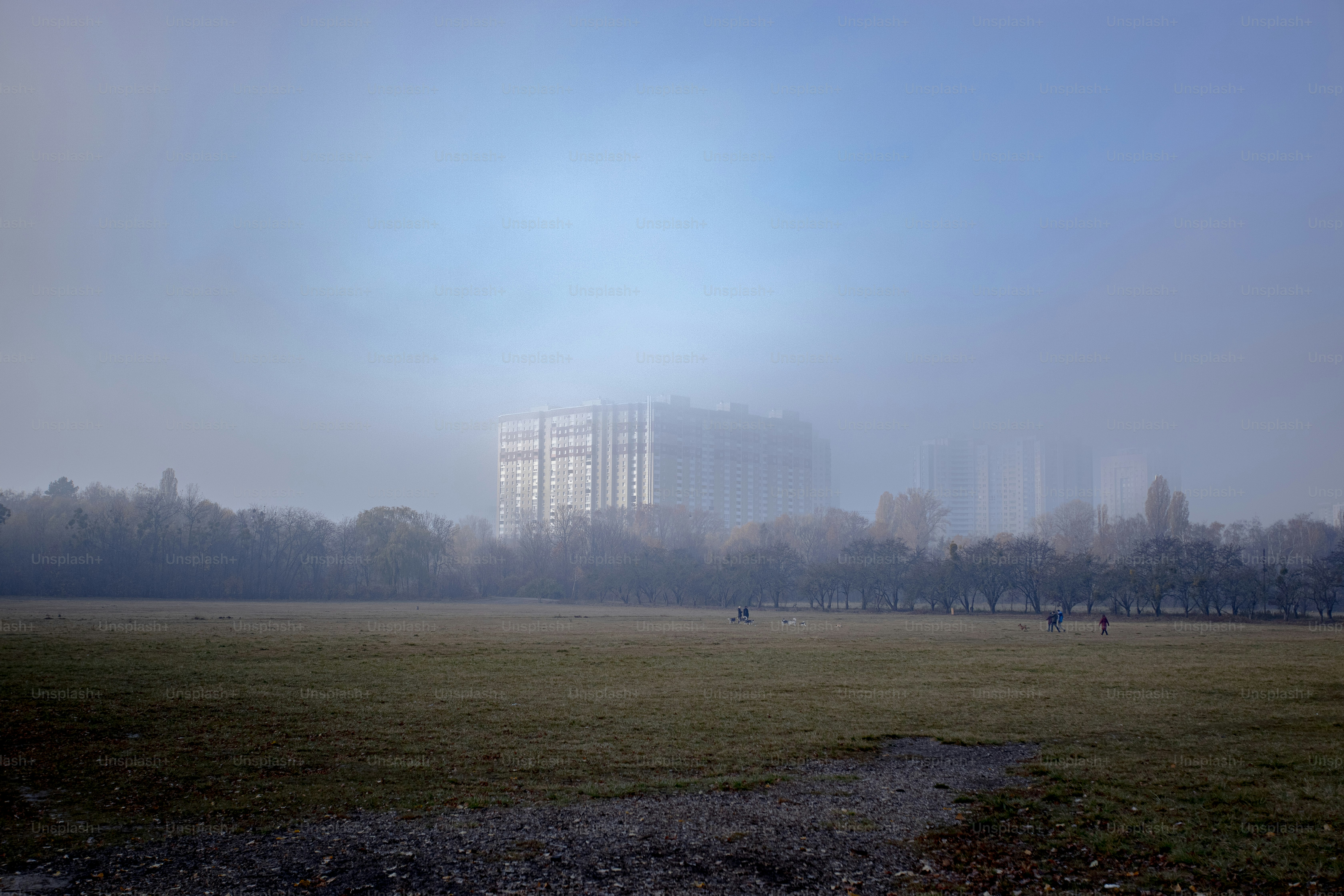 a foggy park with people walking in the distance