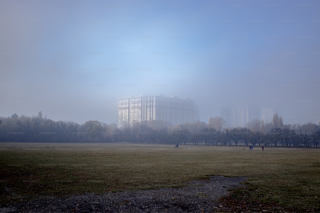 a foggy park with people walking in the distance