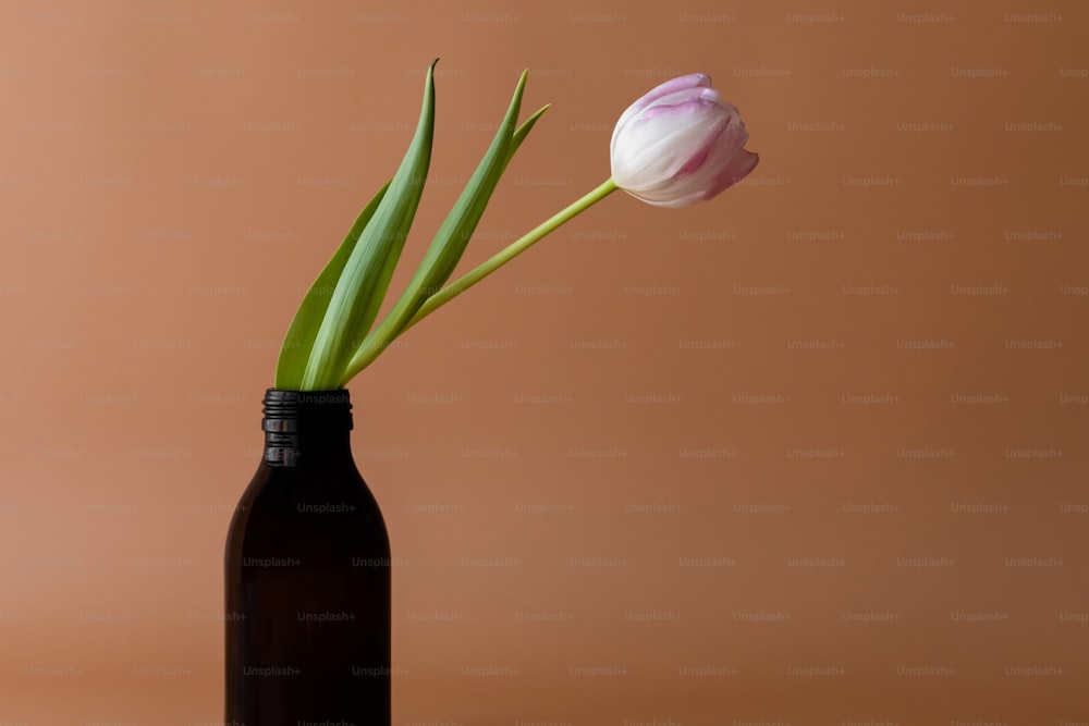 two tulips in a black bottle on a table