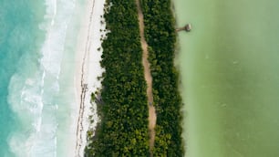 Una vista aérea de una playa con un barco en el agua