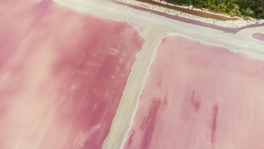 Una veduta aerea di un campo rosa con alberi sullo sfondo