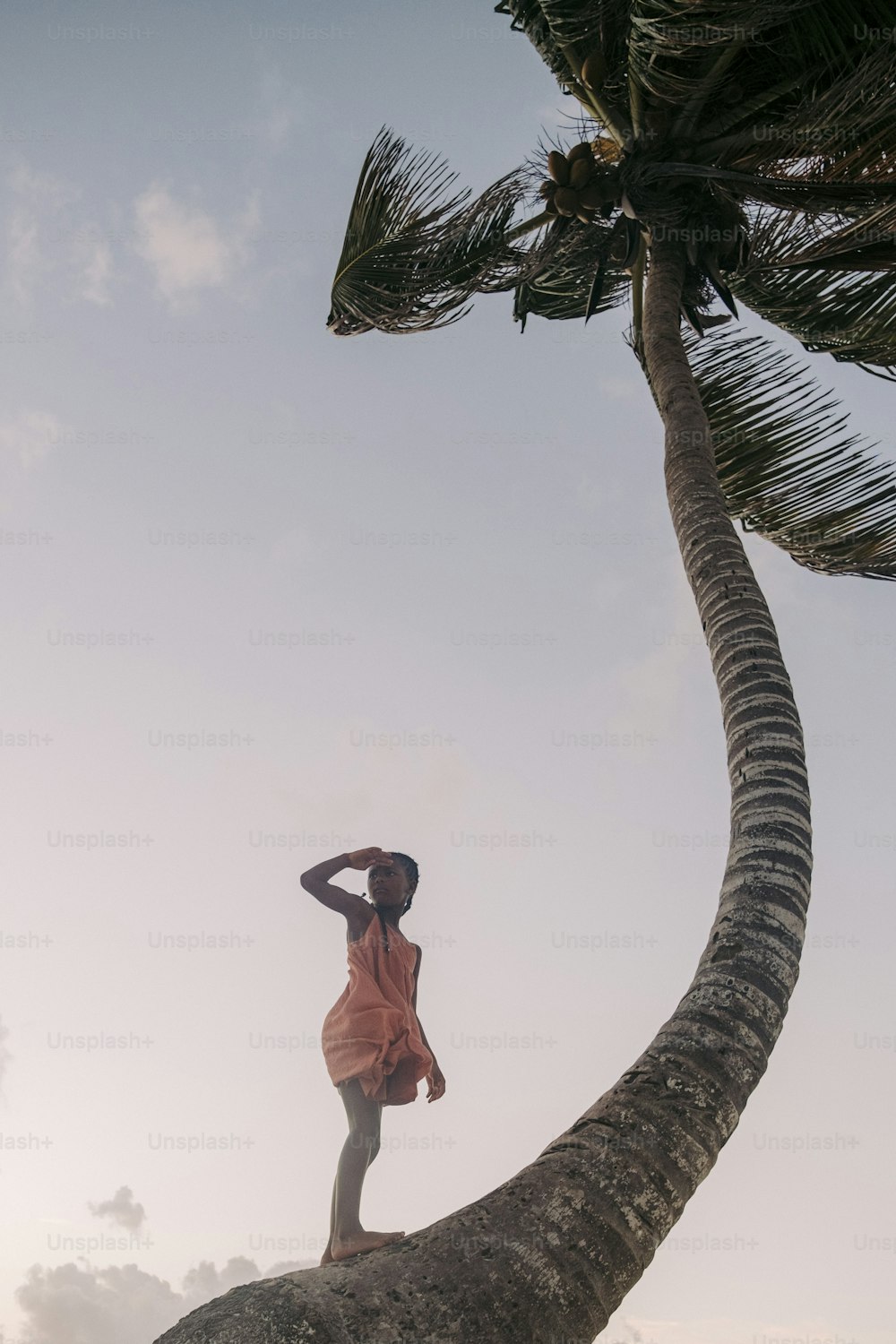 a man standing on top of a palm tree