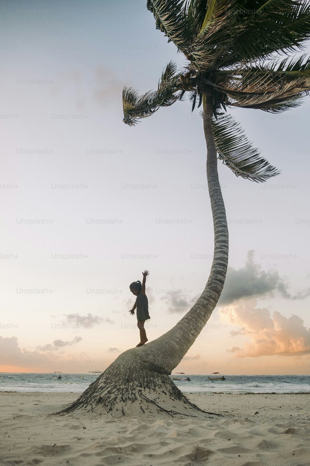 a person standing on top of a palm tree