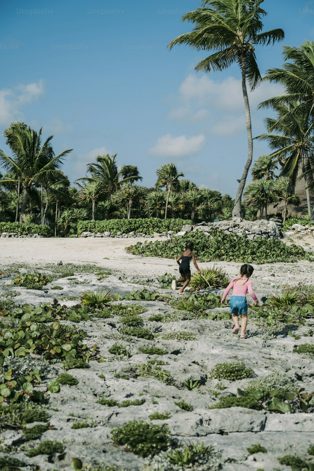 a couple of kids walking across a sandy beach