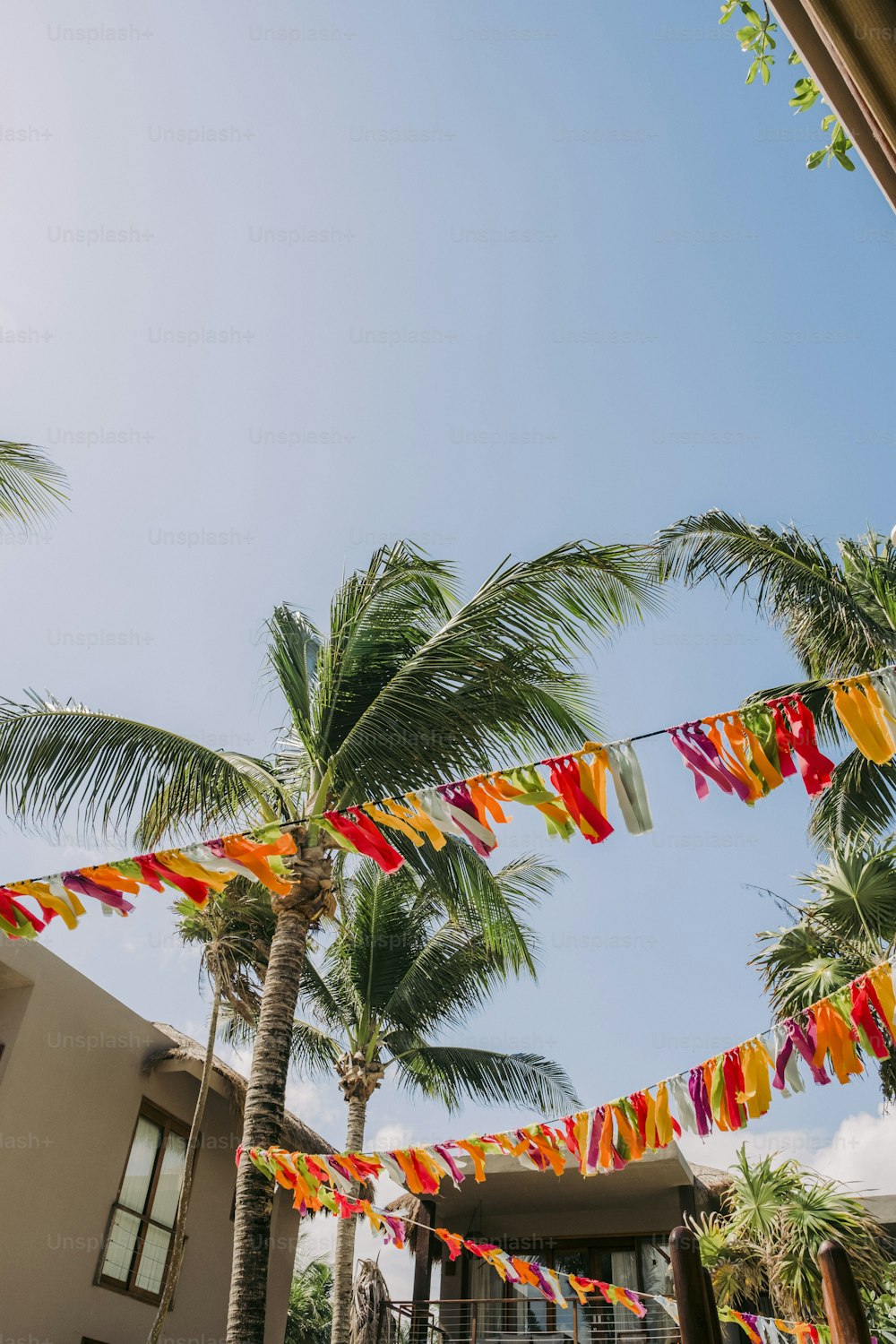 a bunch of colorful streamers hanging from a palm tree