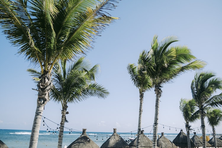 Hyatt Regency Aruba Resort Spa & Casino hotel