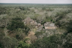 uma vista aérea de uma selva com um edifício em primeiro plano