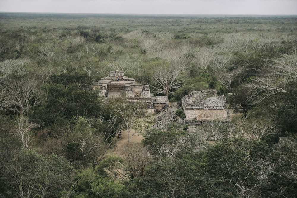 an aerial view of a jungle with a building in the foreground