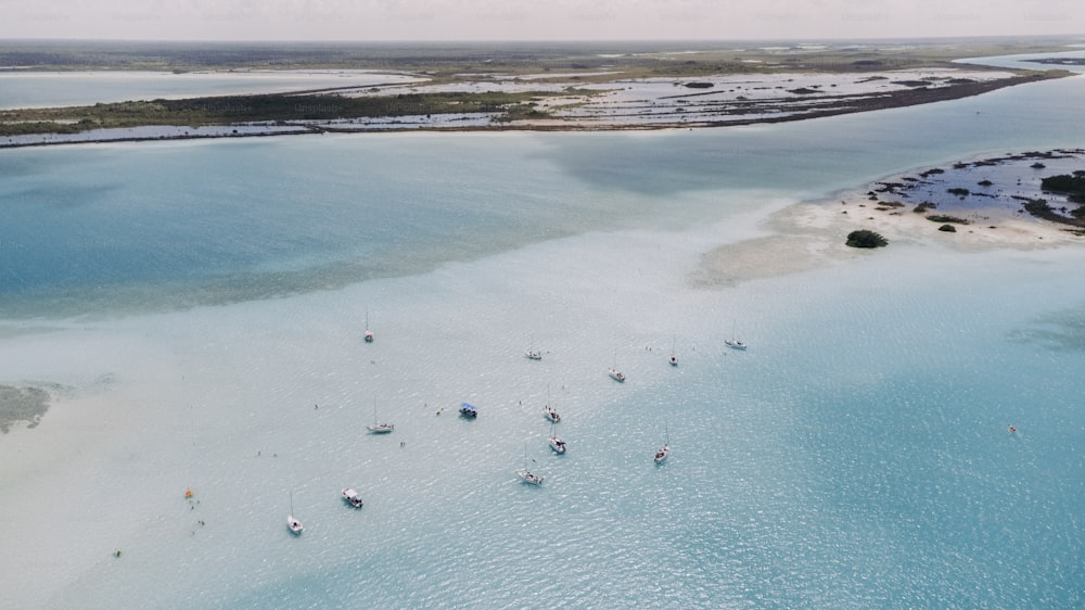 un groupe de bateaux flottant au-dessus d’un plan d’eau