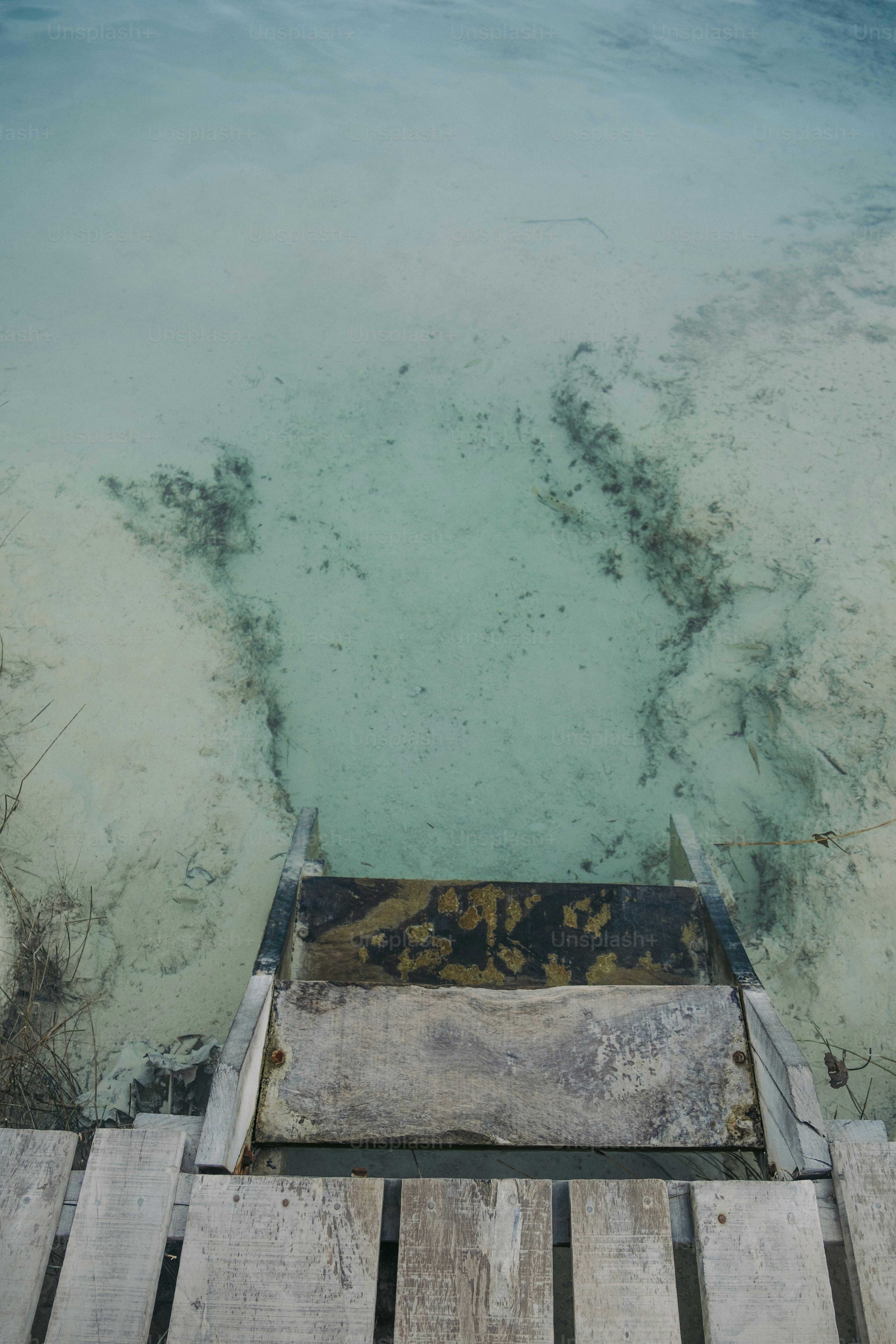 L'acqua è molto limpida e blu in questa foto