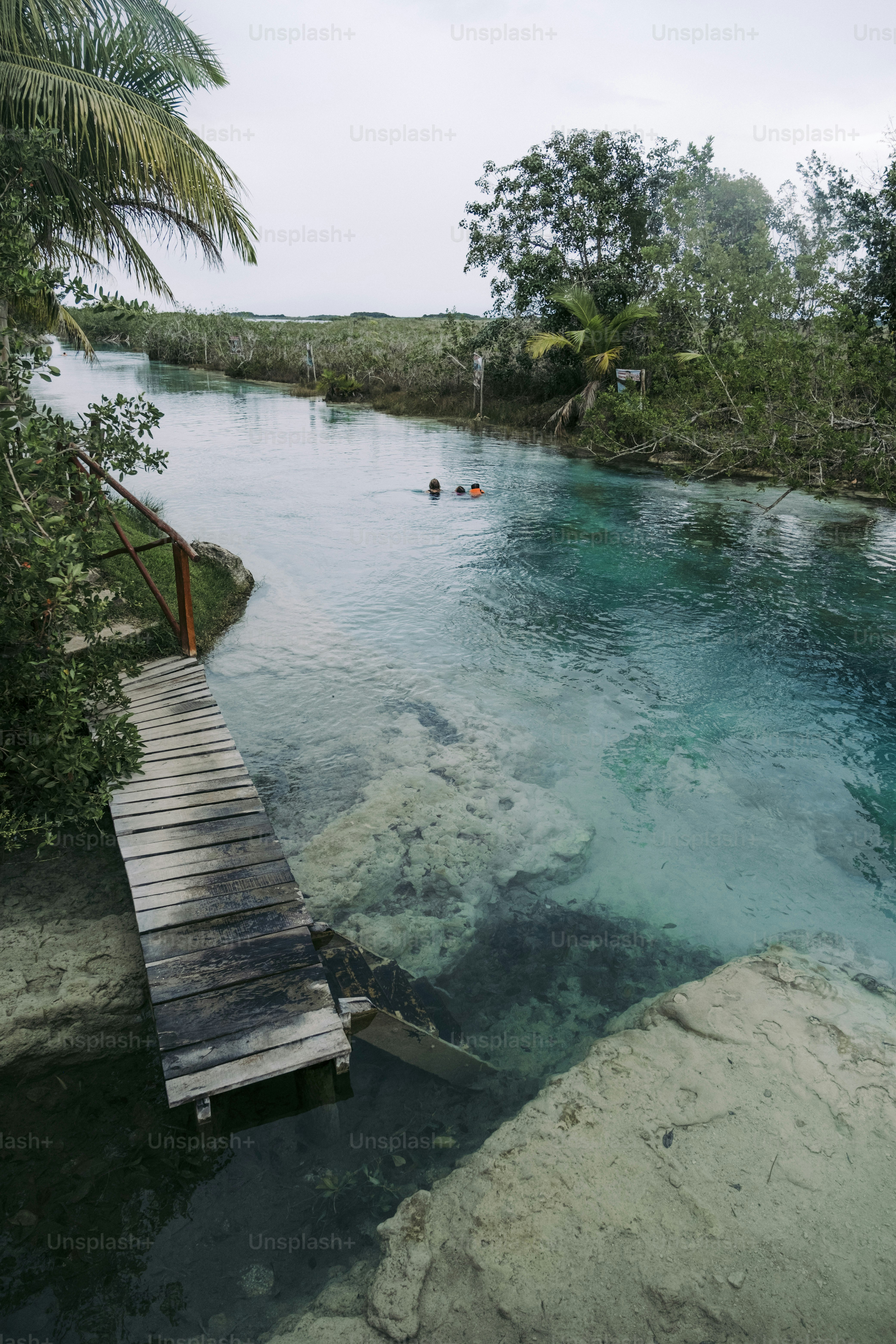a body of water with a wooden bridge over it