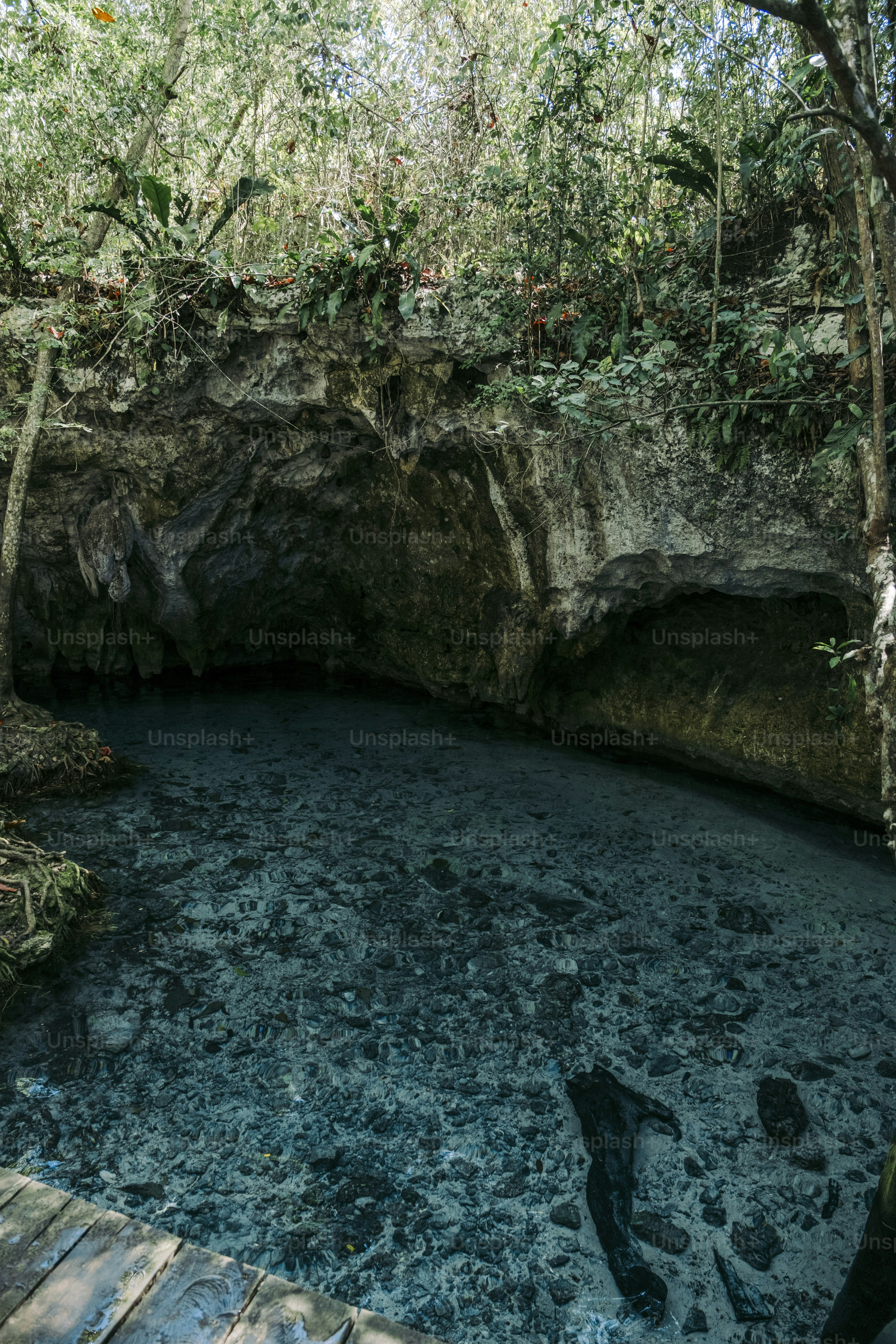 cenotes du Yucatán