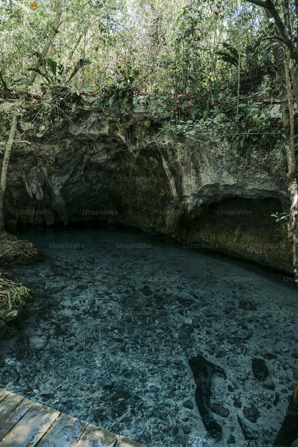 a wooden walkway leading to a small pool of water