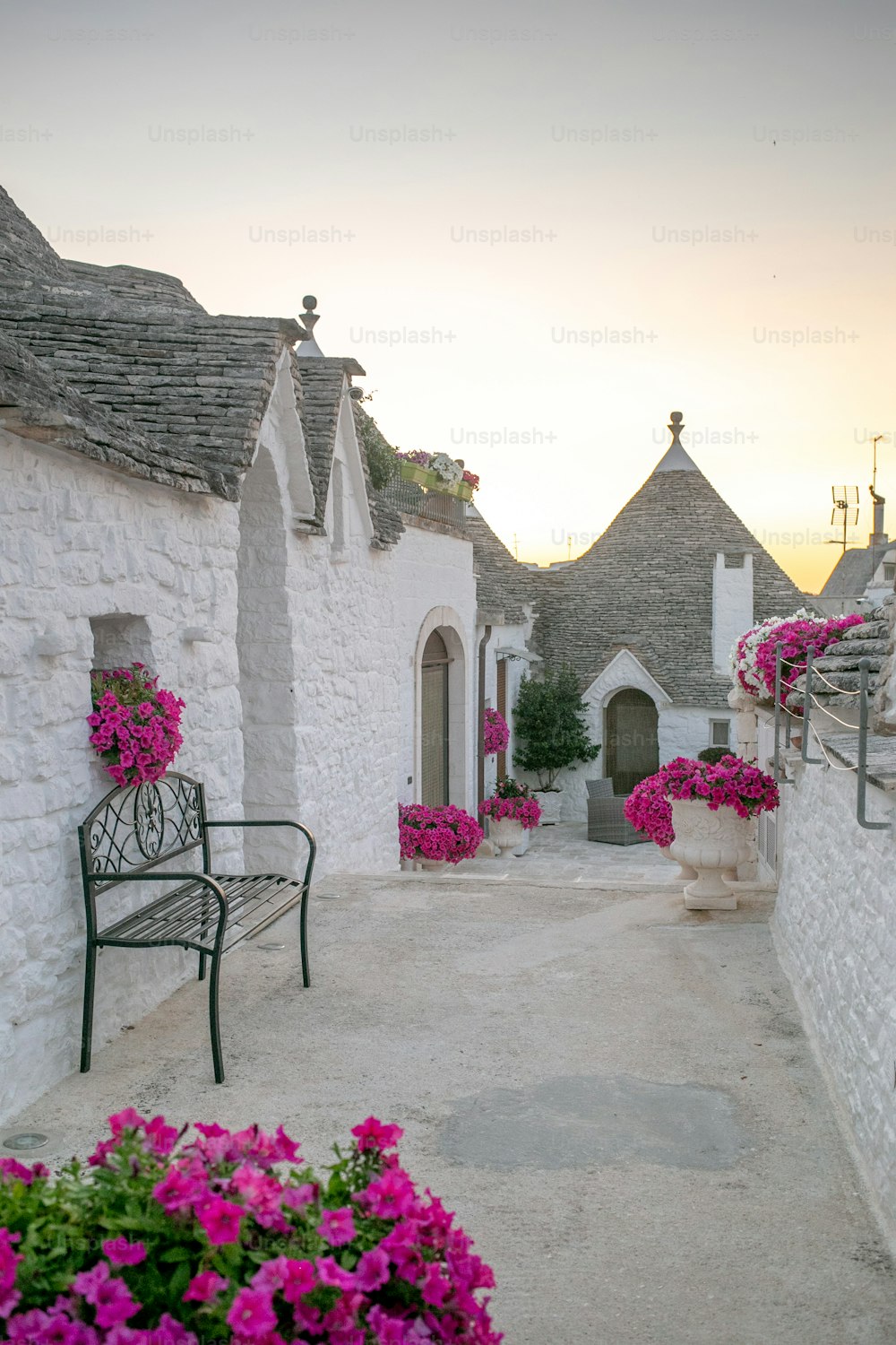 a bench sitting next to a white building with pink flowers