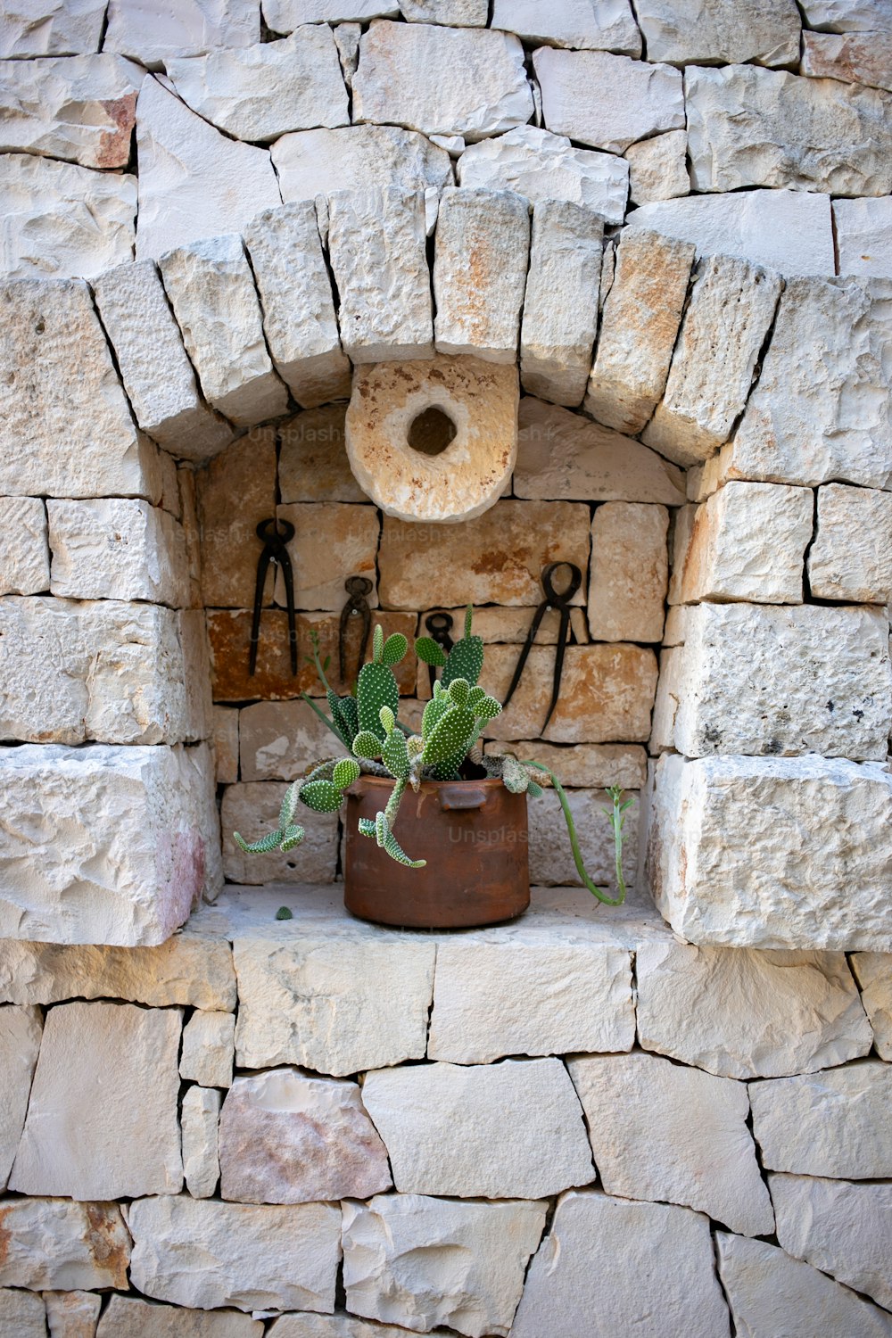 a potted plant sitting in a stone fireplace