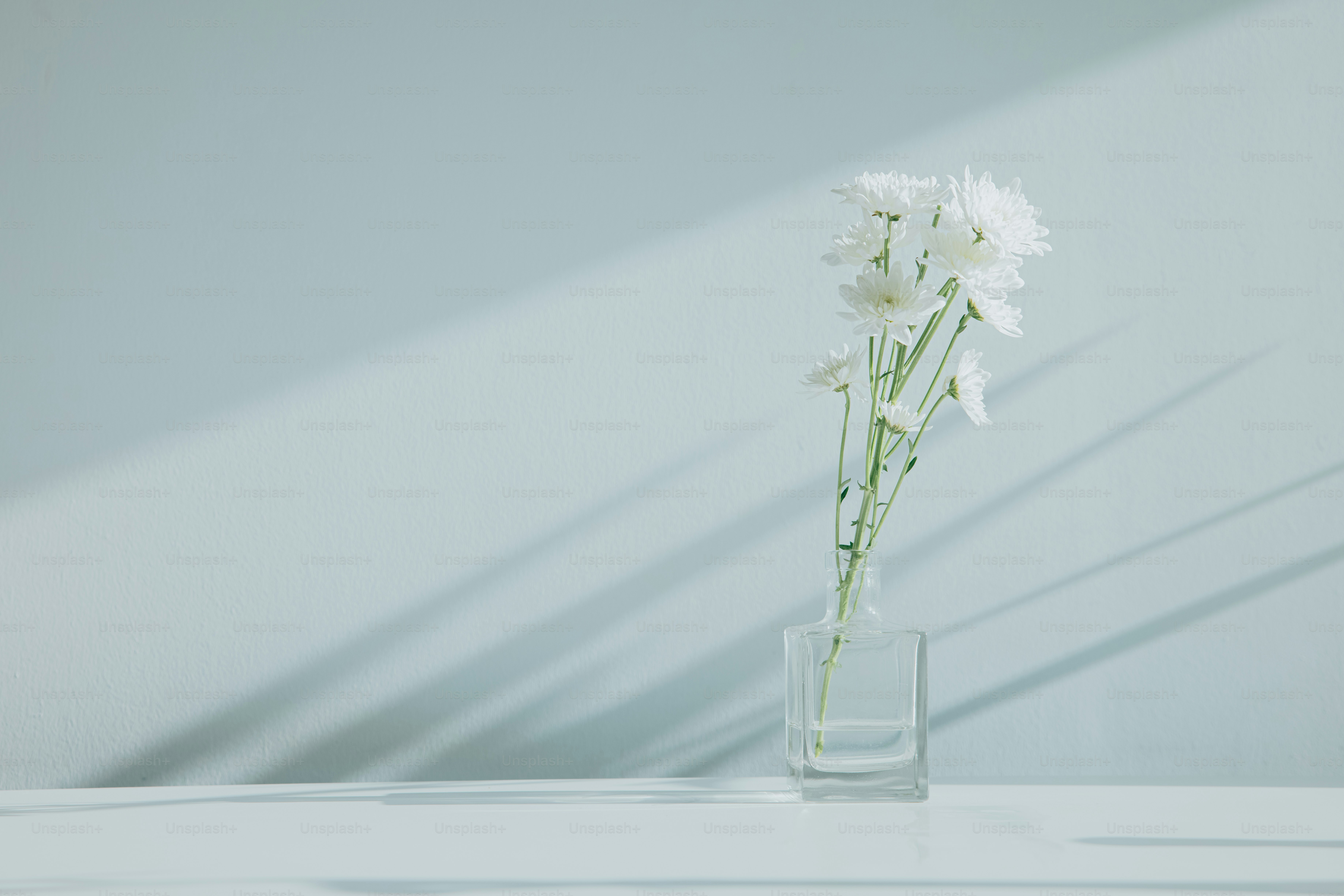 白い花が入った花瓶の写真 – Unsplashの花の画像