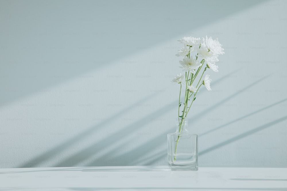 a vase with some white flowers in it