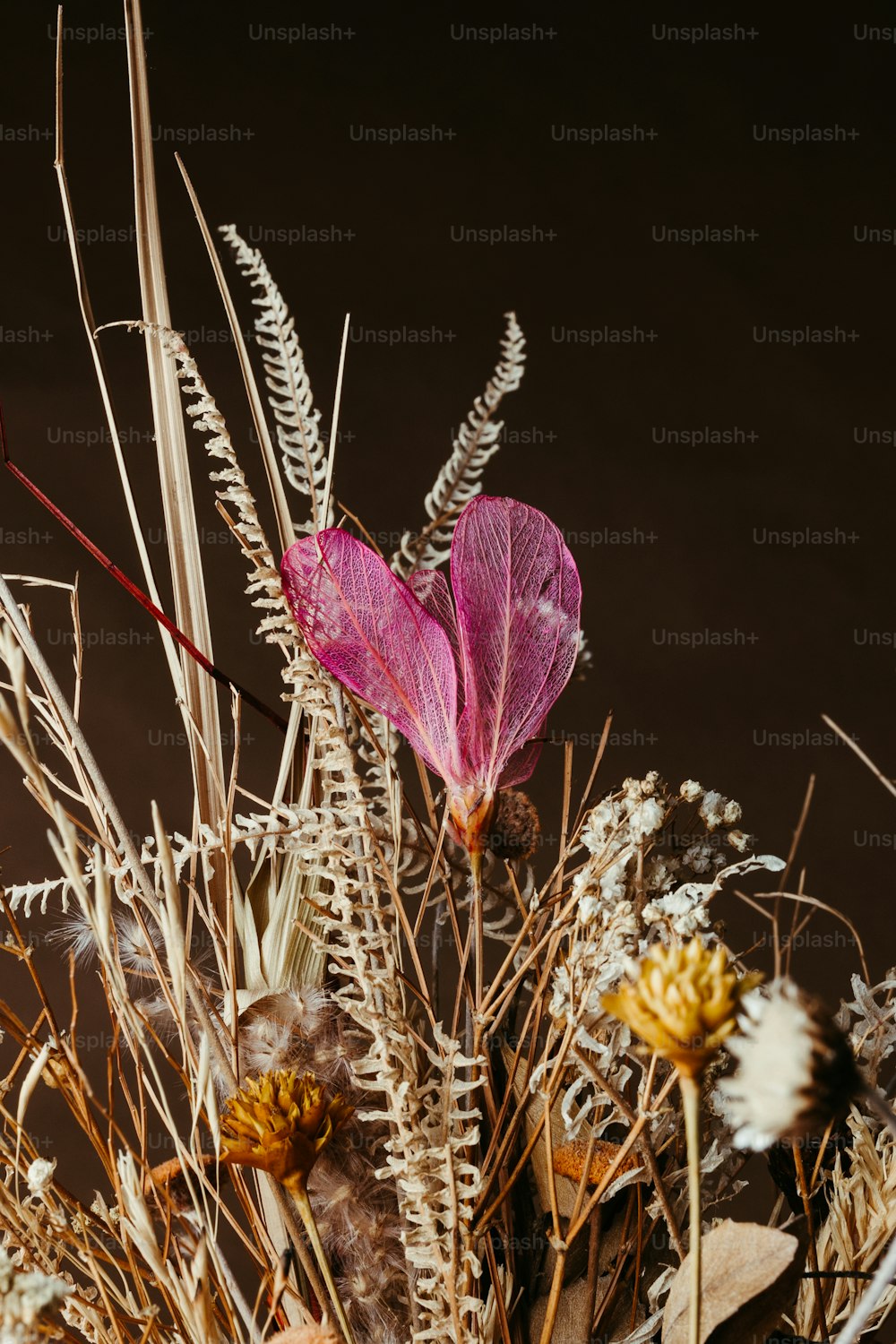 Premium AI Image  Closeup of dried flower petals