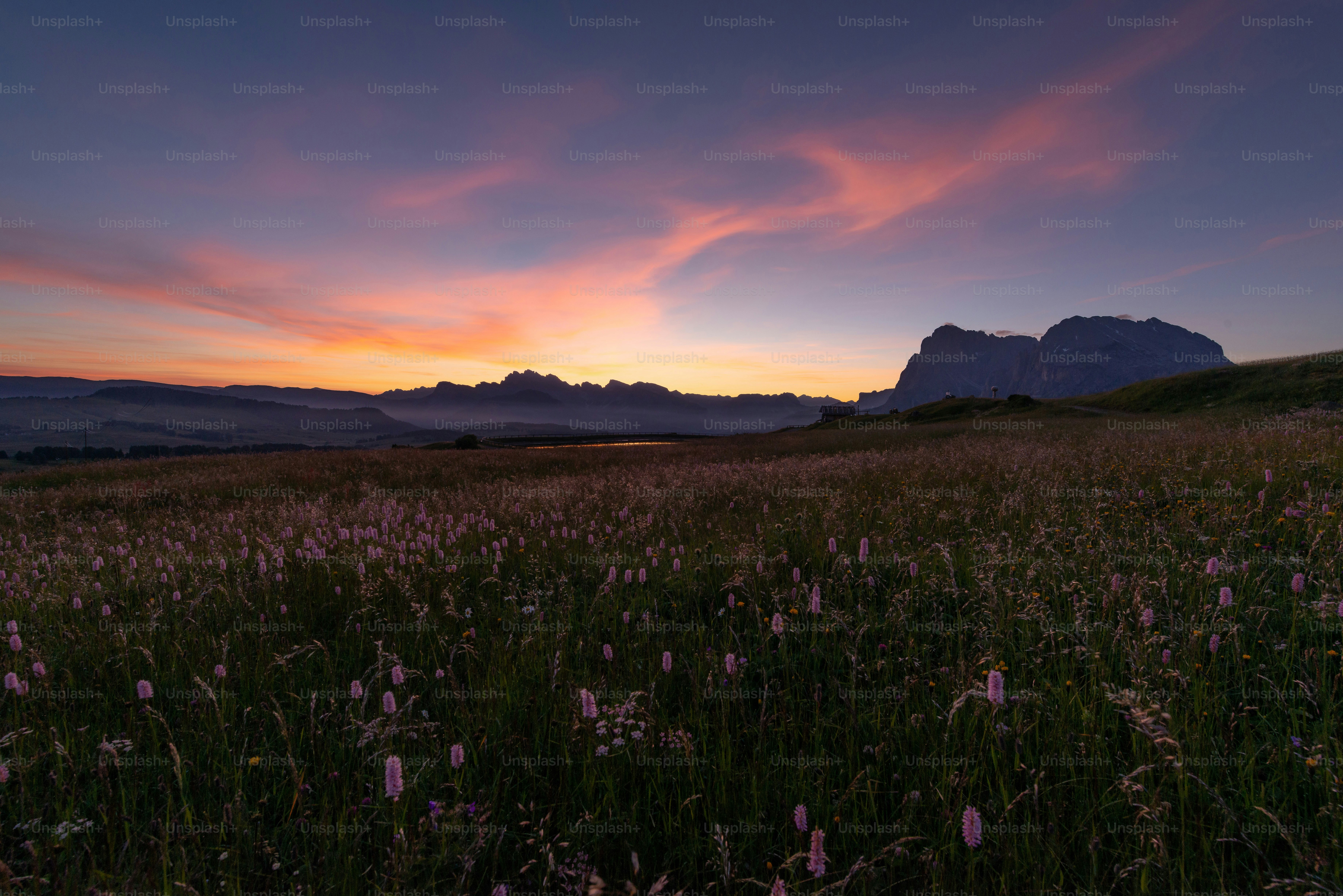 the sun is setting over a field of wildflowers