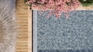 una vista cenital de una piscina con flores