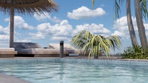 uma piscina com uma espreguiçadeira e uma palmeira