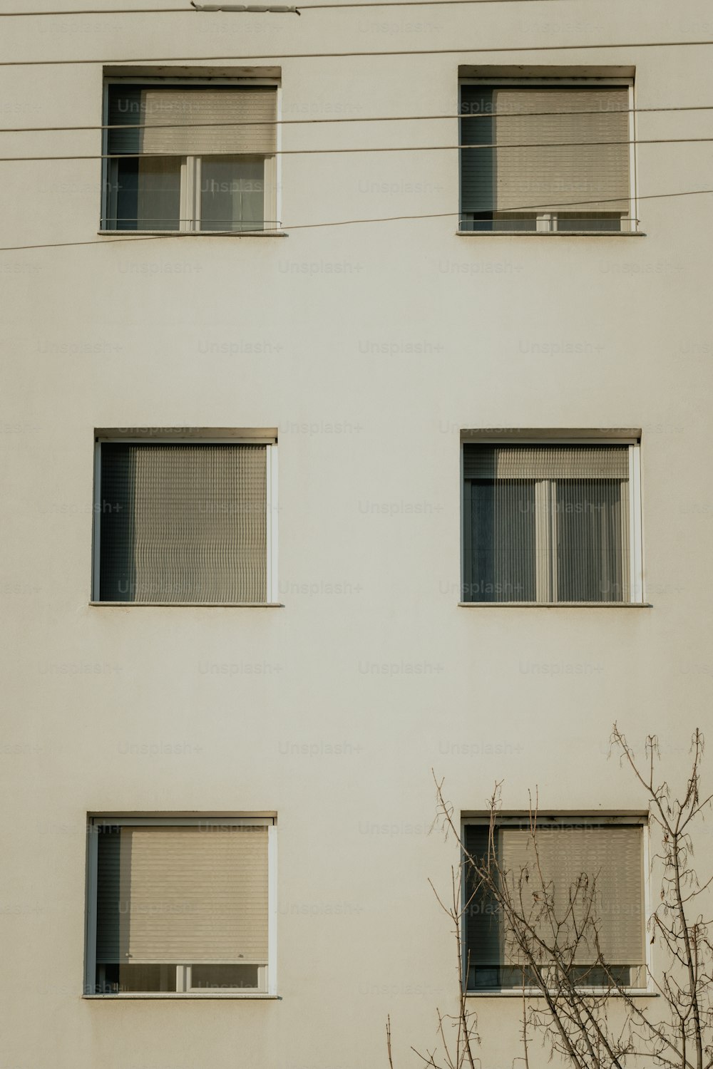a tall white building with four windows and a tree in front of it