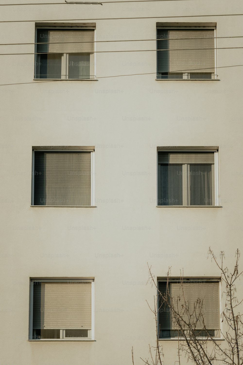 Un edificio alto y blanco con cuatro ventanas y un árbol frente a él