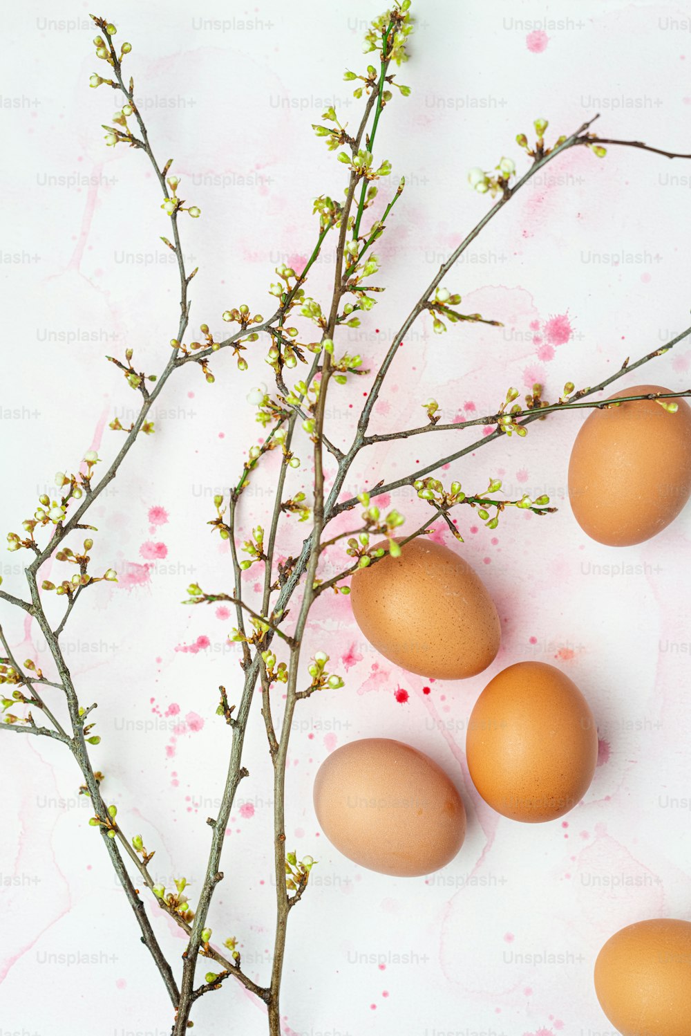 a bunch of eggs sitting on top of a branch