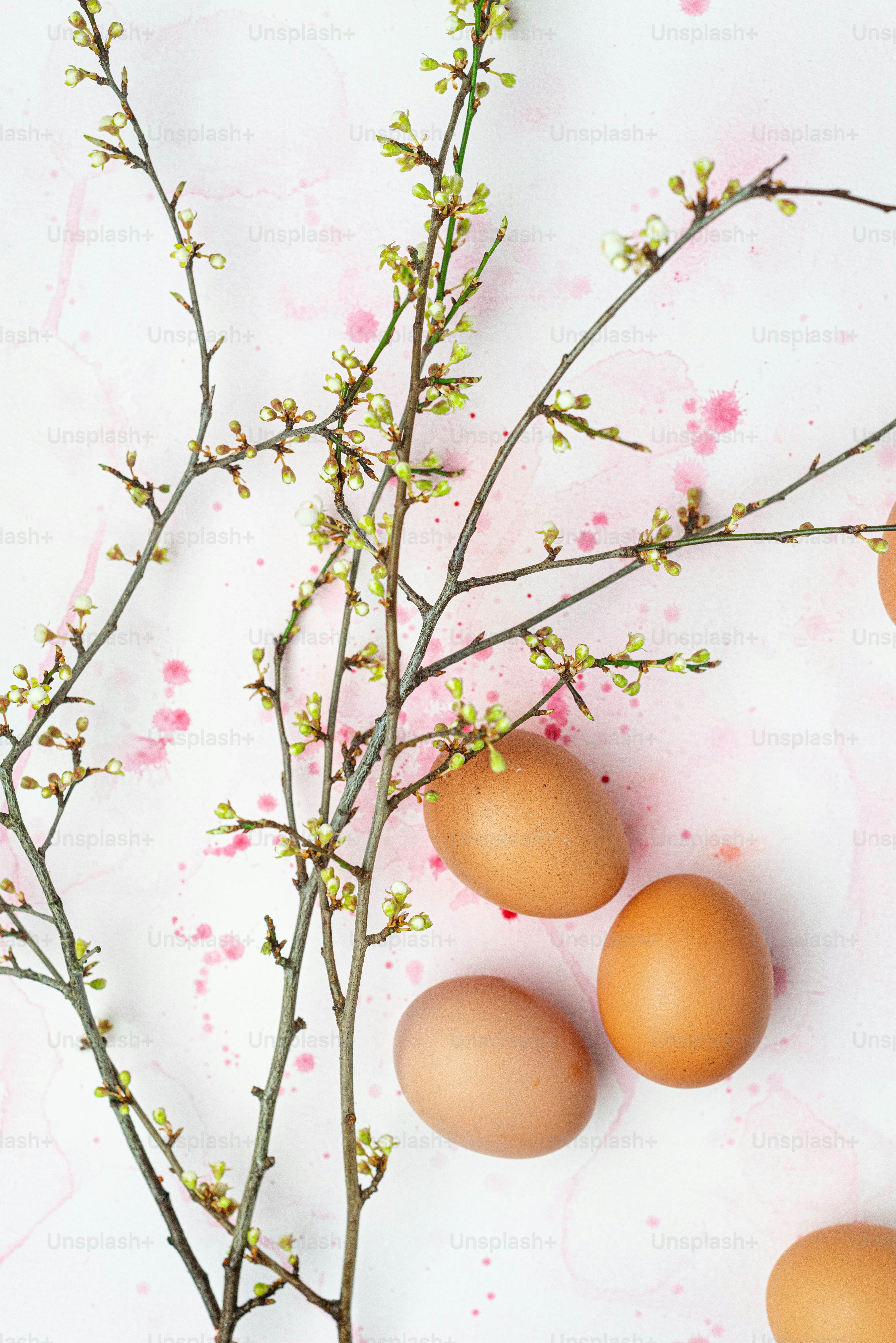 a bunch of eggs sitting on top of a branch