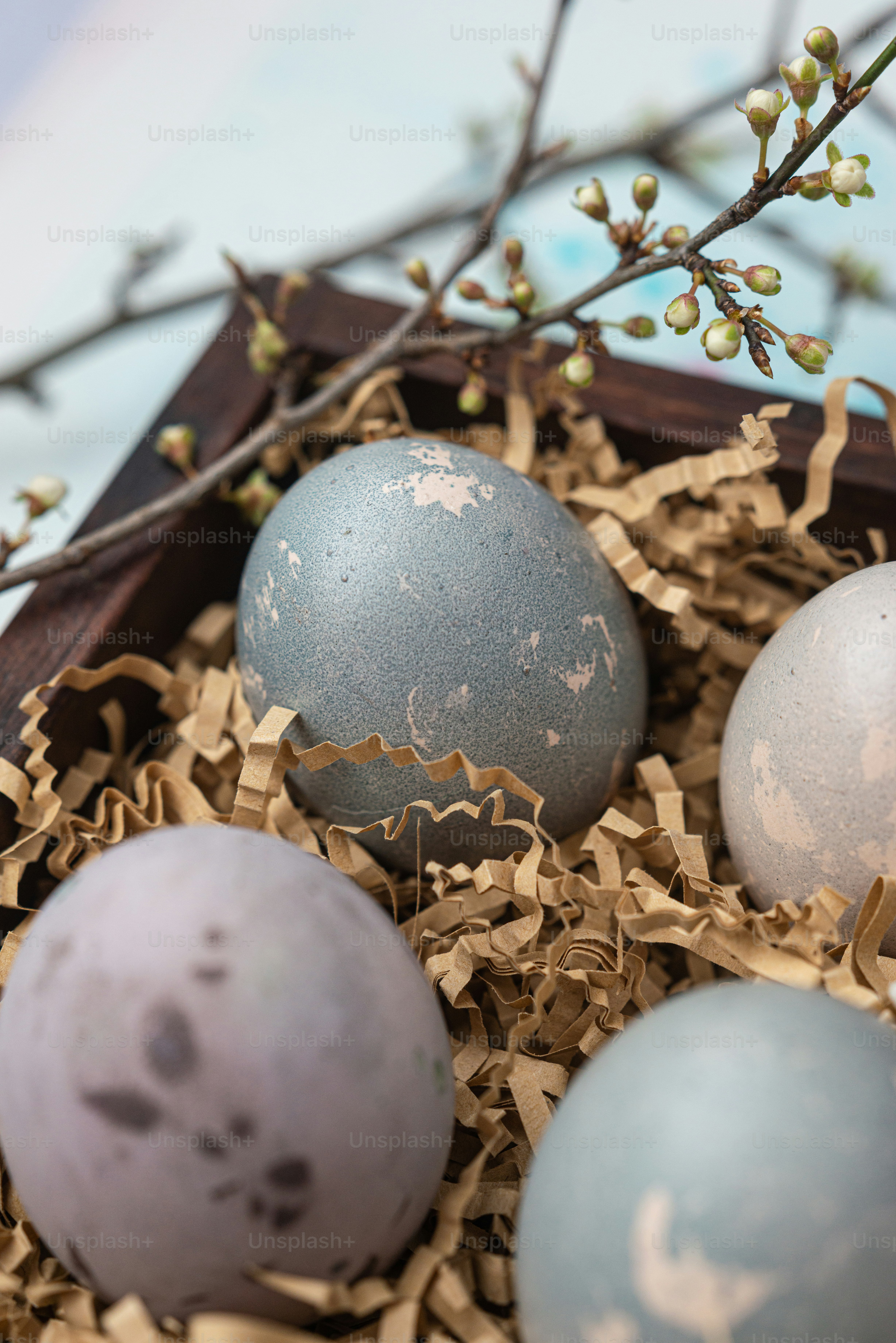three eggs in a nest with a twig
