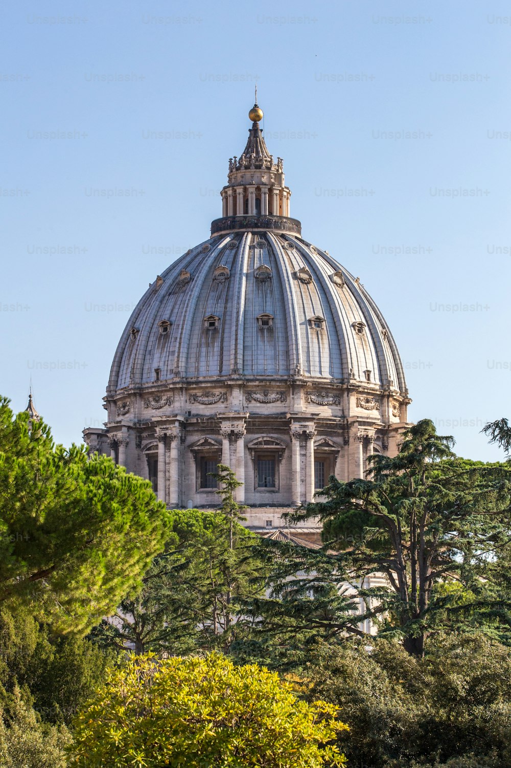 the dome of a building with trees around it