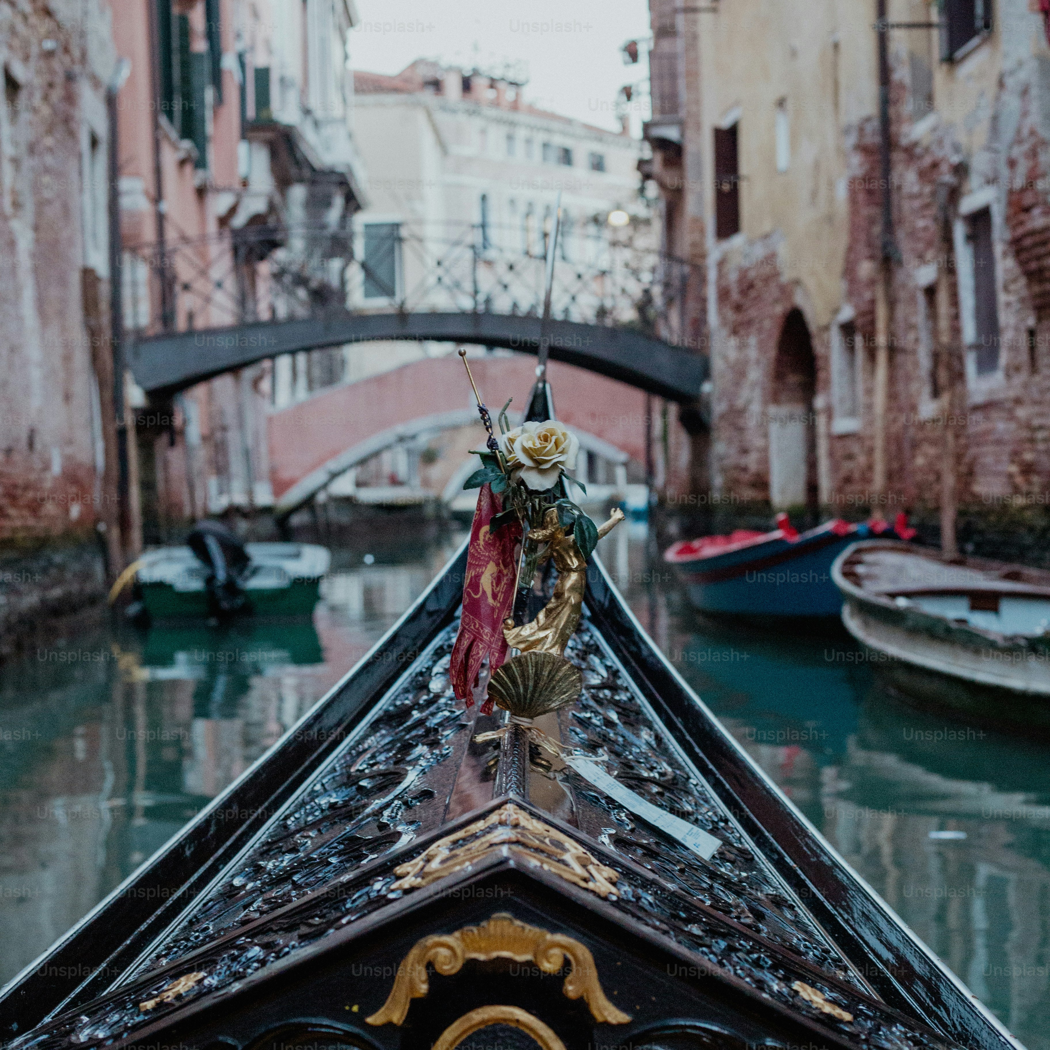 eine Gondel mit Blumen auf der Vorderseite