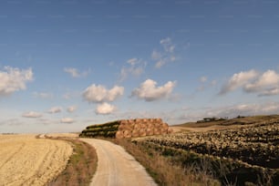 uma estrada de terra no meio de um campo