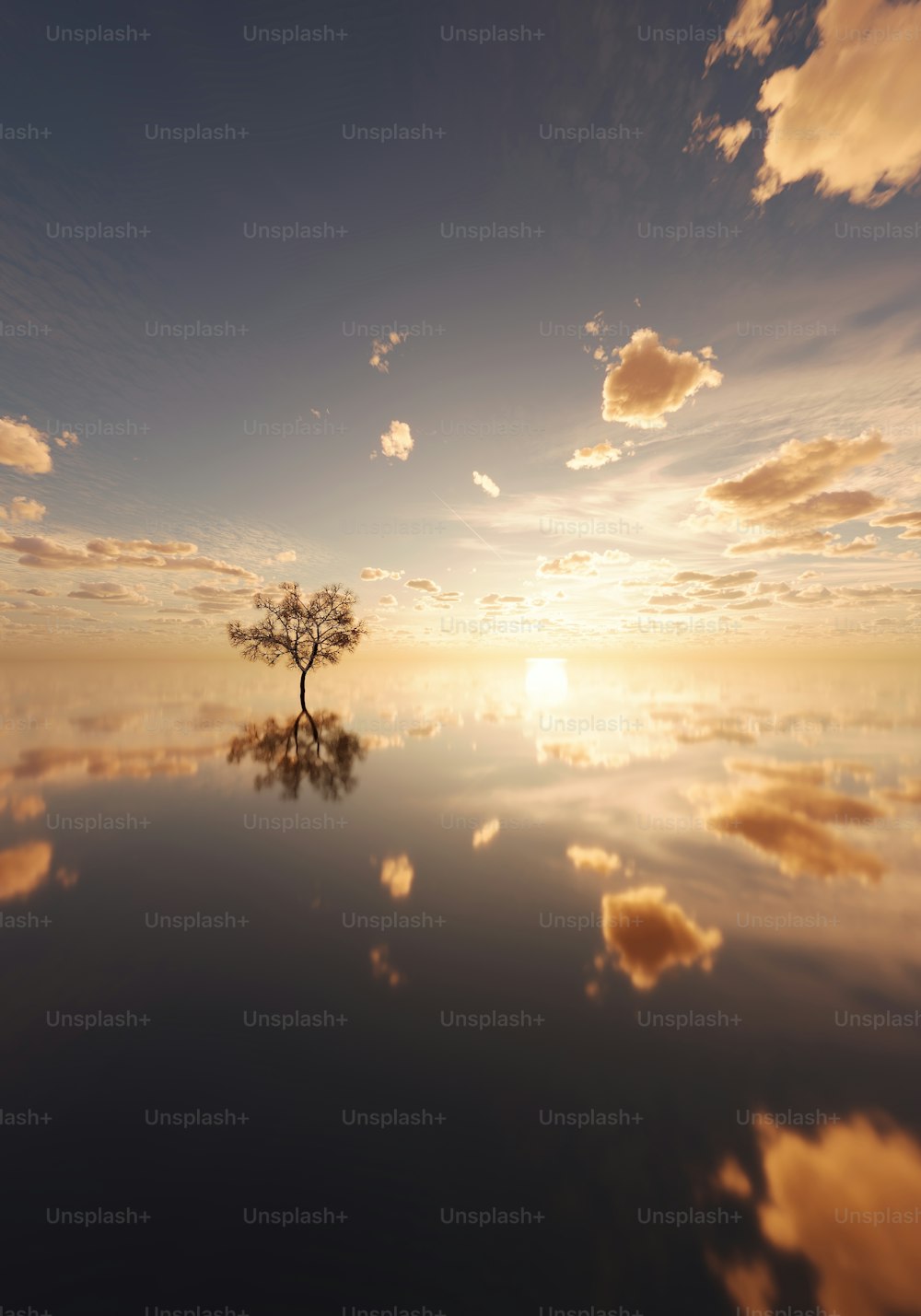 un árbol solitario en medio de un lago