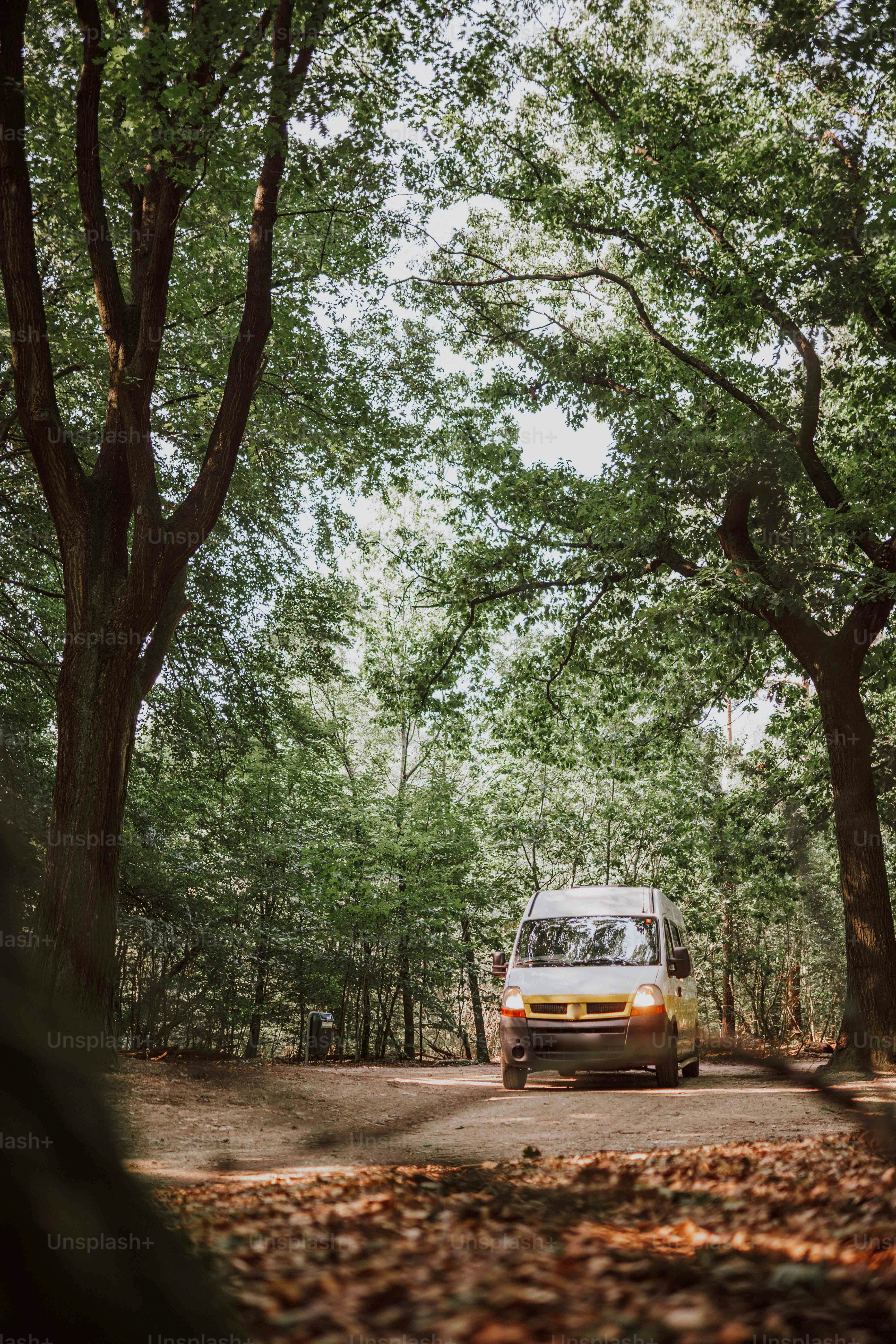 uma van está dirigindo por uma estrada arborizada