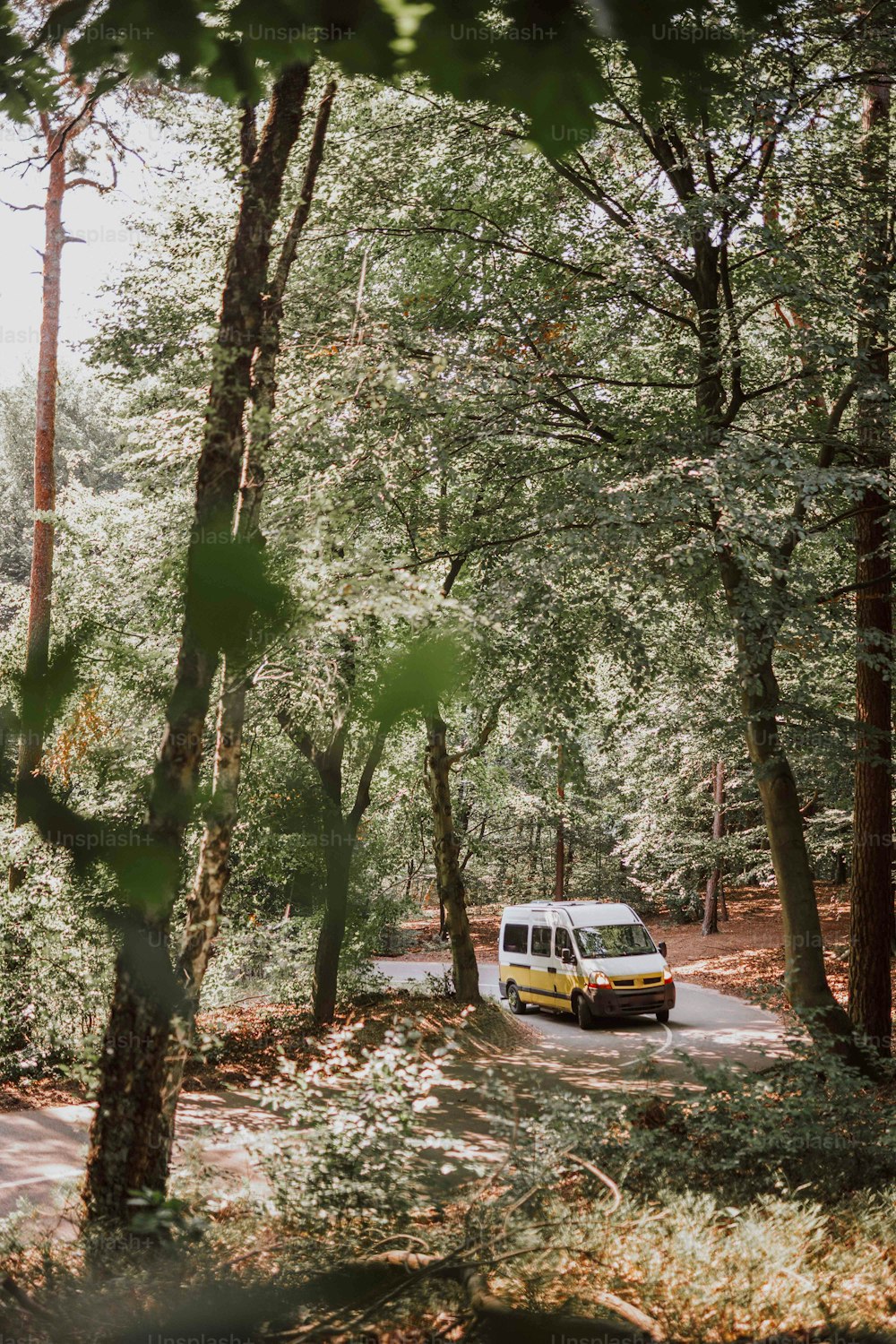 a van is parked in the middle of the woods