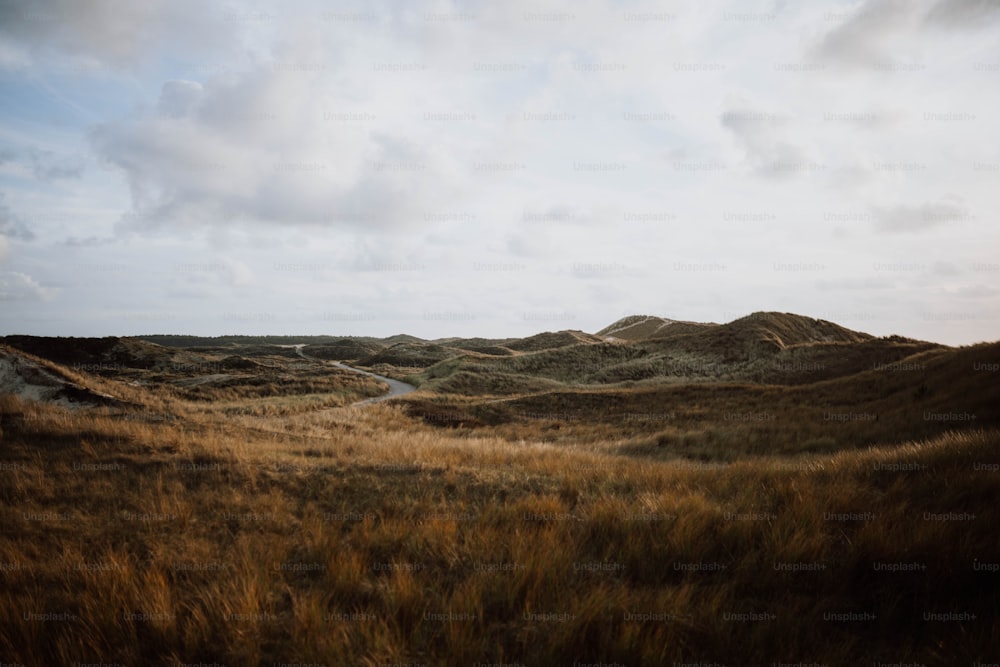 a grassy field with hills in the distance