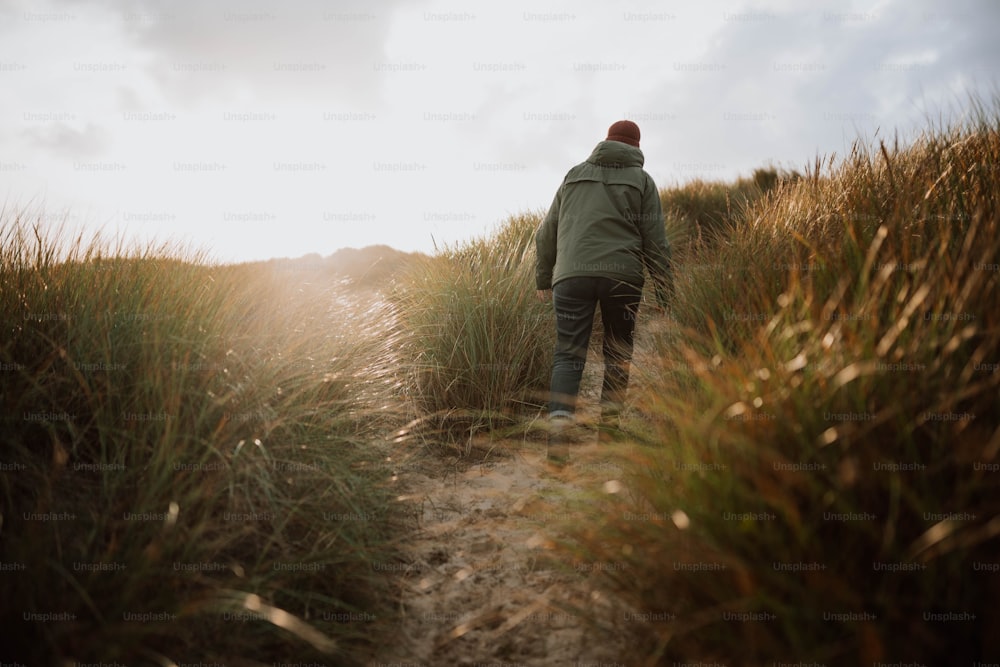 a man walking through tall grass towards the sun