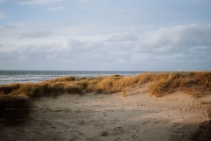 a sandy beach next to the ocean under a cloudy sky